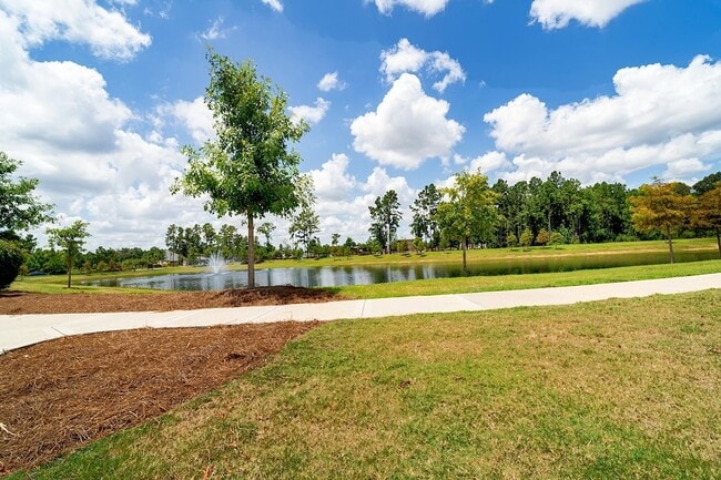 Photo - 14368 Cedar Shadow Dr