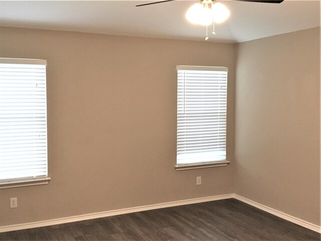 Photo - 8715 Snow Goose