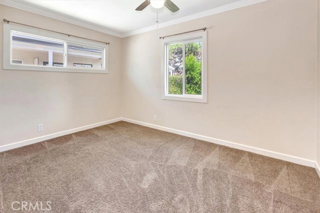 Photo - 1298 Watson Ave