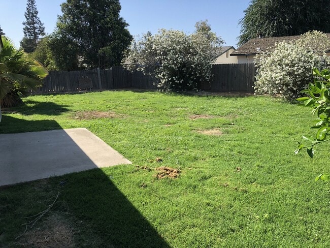 Photo - 1715 E Mary Ave