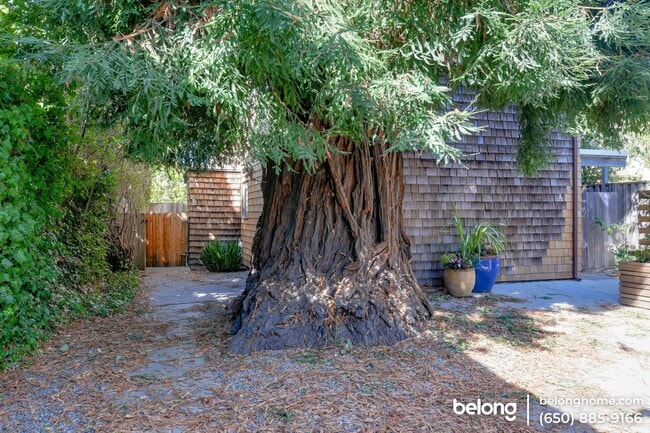 Photo - 2223 Ward St