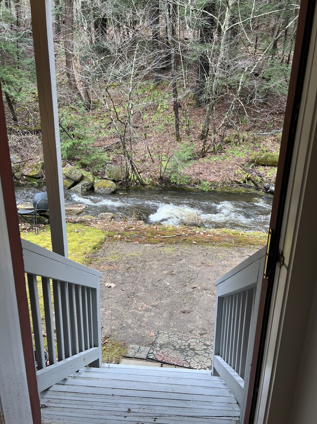 Out the Back Door - 313 Main St Unit Apt 2