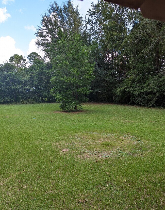 1803 Sharon Dr Rental House Rental in Albany, GA