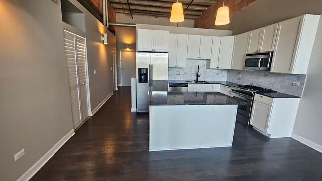 Top of line Kitchen - 2545 S Dearborn St Unit Opera Lofts #405