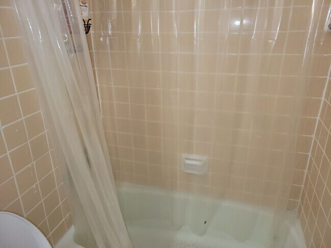Photo - NO FEE!   Great deal!!!!  Garden level Allston studio with HEAT AND HOT WATER INCLUDED for 9/1!