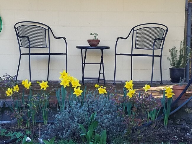 Photo - 1610 3rd Ave W Unidad Lower