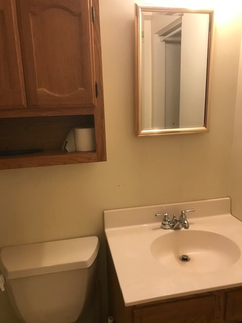 Bathroom vanity - 4908 Sideburn Rd Unit Studio