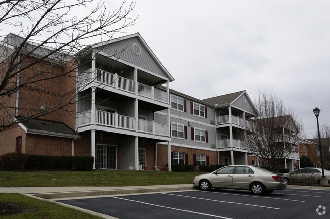 Salony House - 62+