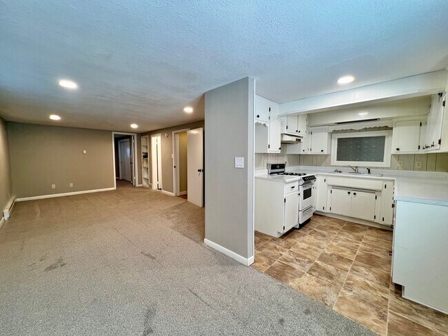Downstairs 1/2 Kitchen