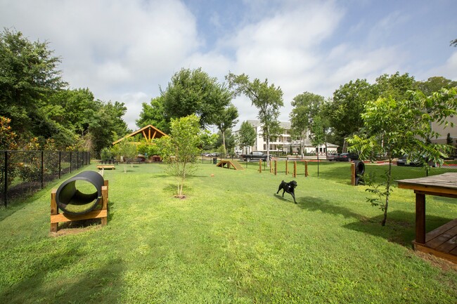 Dog Park
