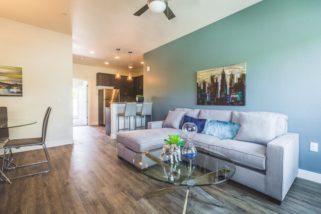 MaCallister Scottsdale
