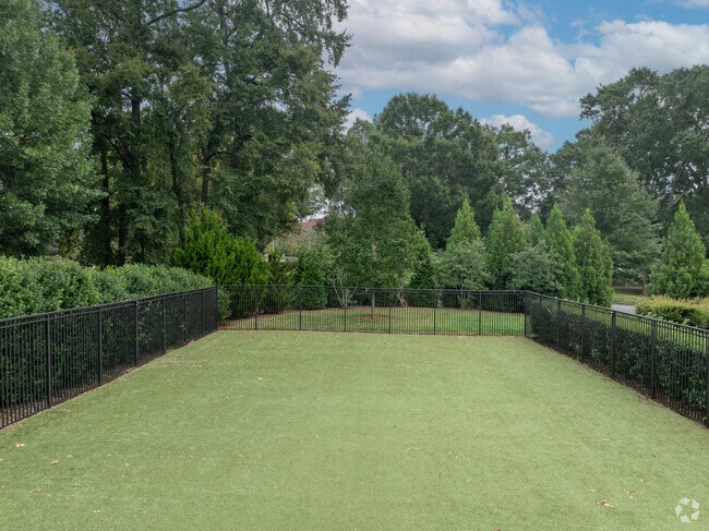 Dog Park