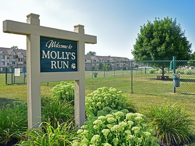 Thornridge Apartments