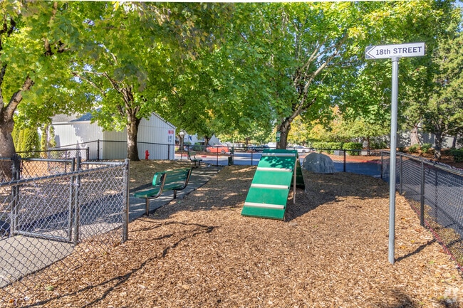 Dog Park