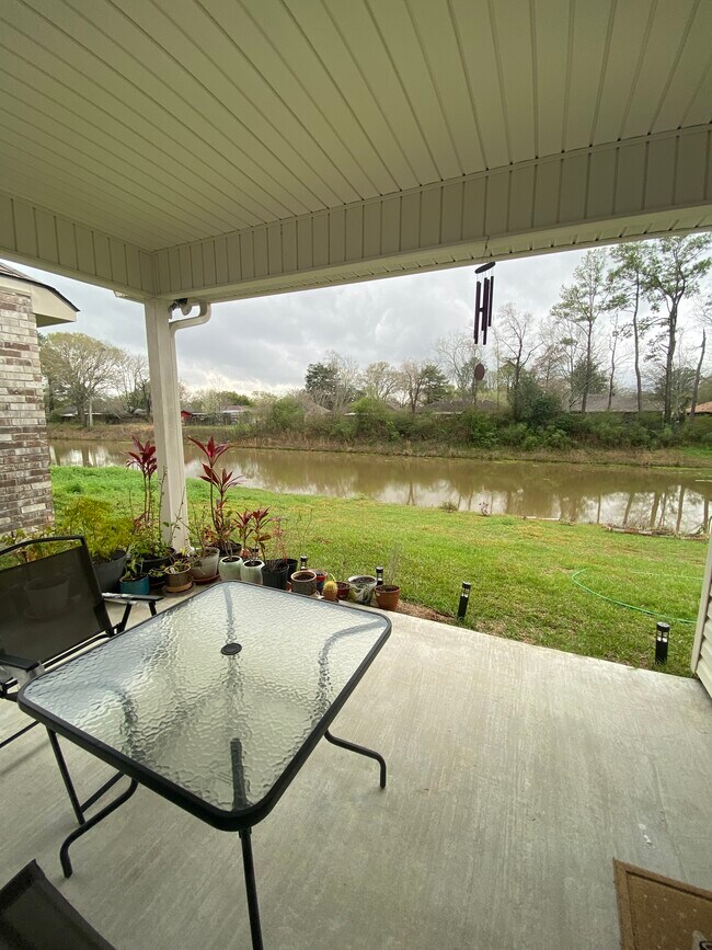 Back Patio - 16052 Summer Gardens Ave