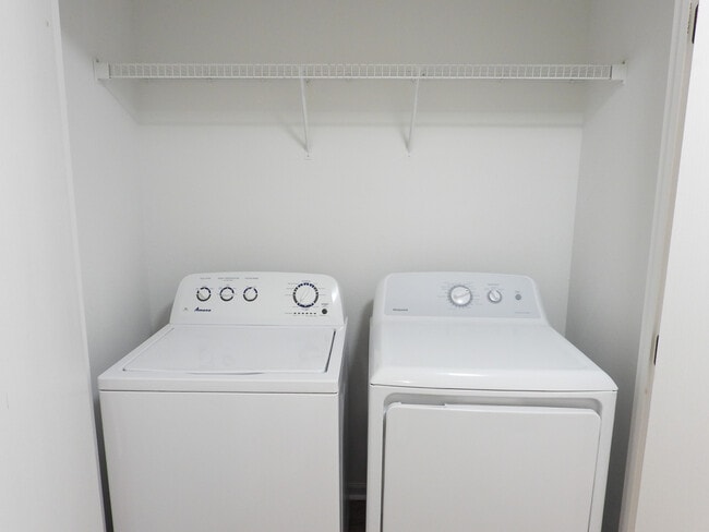 Two Bed, One Bath, Style 1