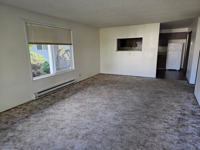 Photo - 1157 Picture St