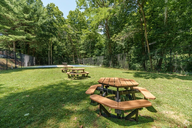 Picnic Area