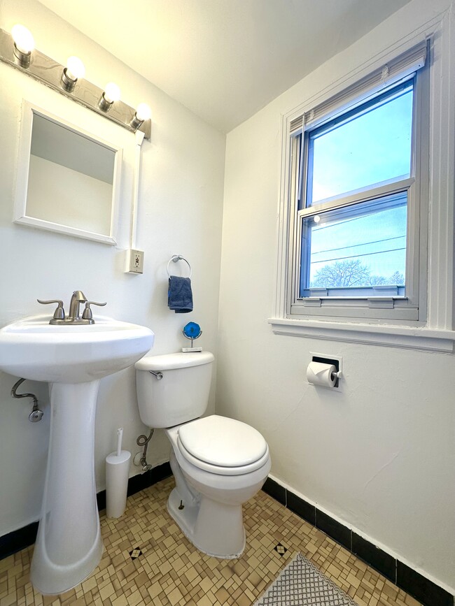 The Lex Apartments
