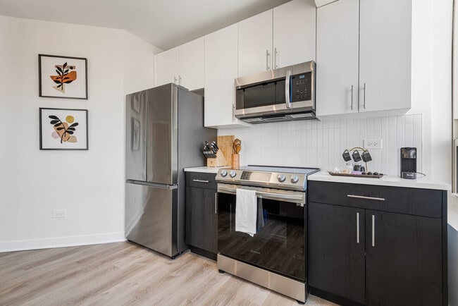45 E Chicago Ave Unit SI FL17-ID1029597P