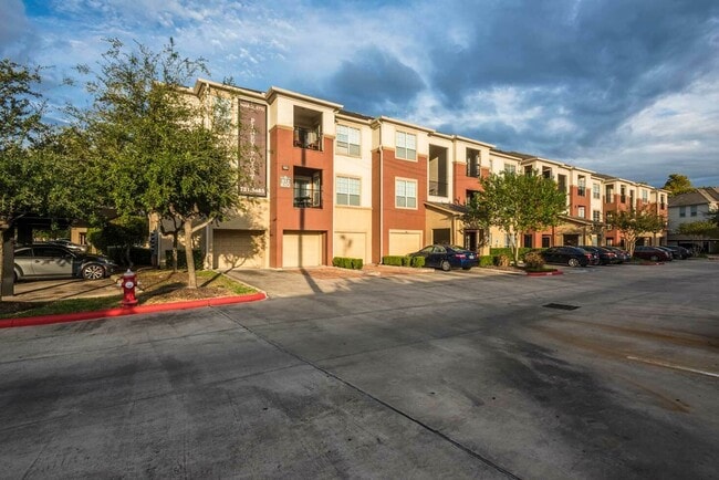 Oasis at Piney Point Apartments - Oasis at Piney Point