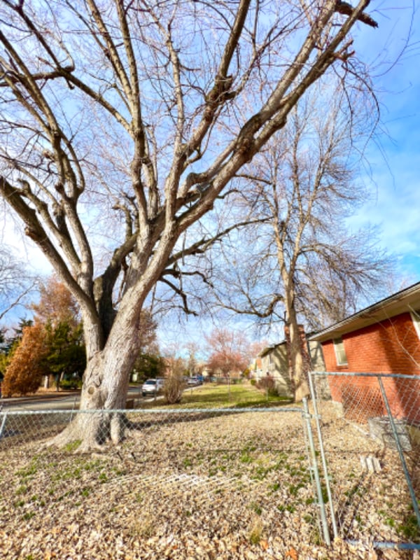 Photo - 1518 W Howe St