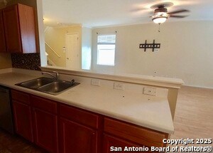 Photo - 14235 Rosy Finch