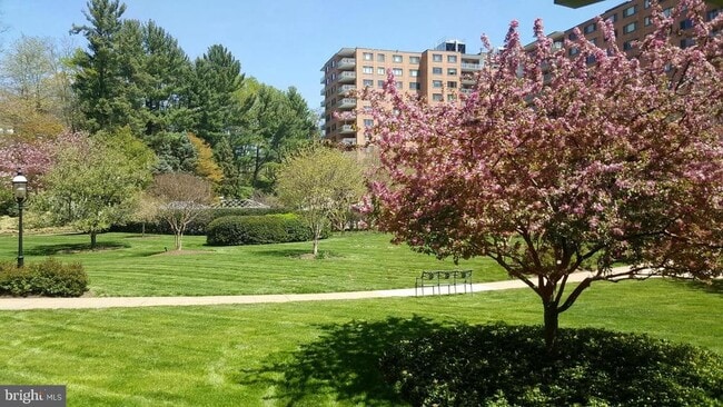 Building Photo - 4201 Cathedral Ave NW Unit 301E Rental