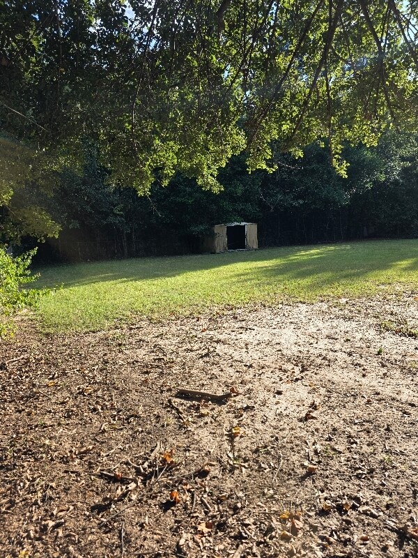 Photo - 207 Athens St