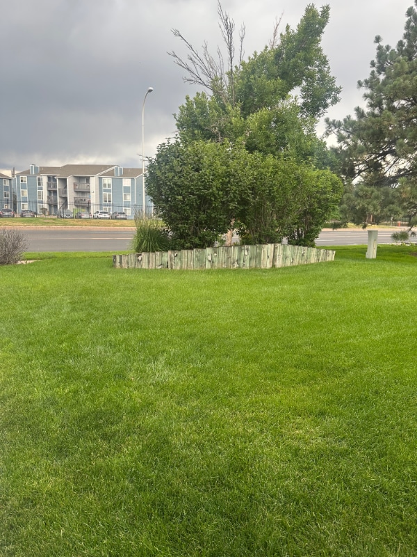 Photo - 1362 Firefly Cir