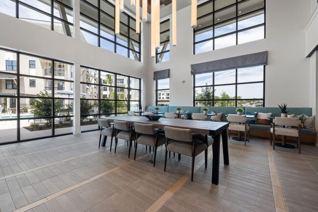 Photo - The Range On Oleander