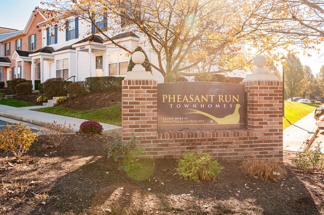 Pheasant Run Townhomes/Student Housing - Pheasant Run Townhomes/Student Housing