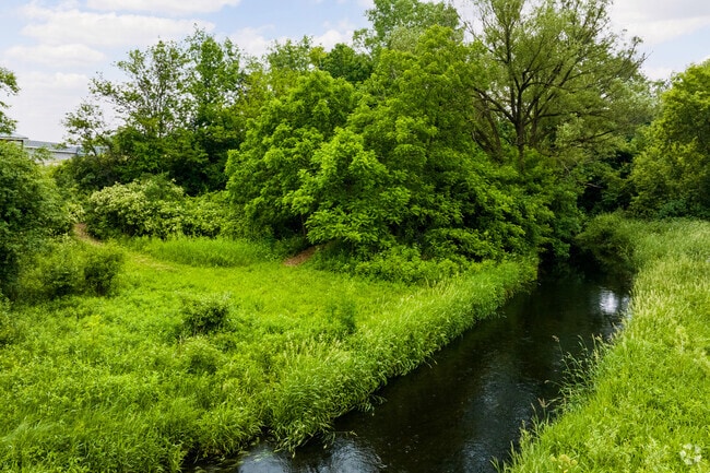 Hiking Path Area