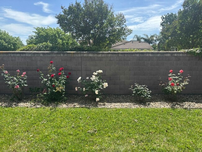 Photo - 10294 Stoecker Way