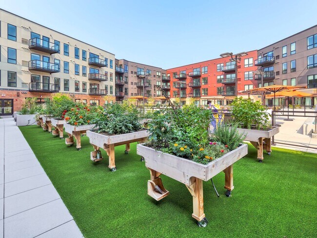 Avidor Glenview 55+ Active Adult Apartment Homes