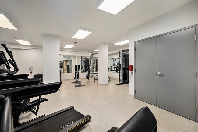 Photo - Mural Kingston