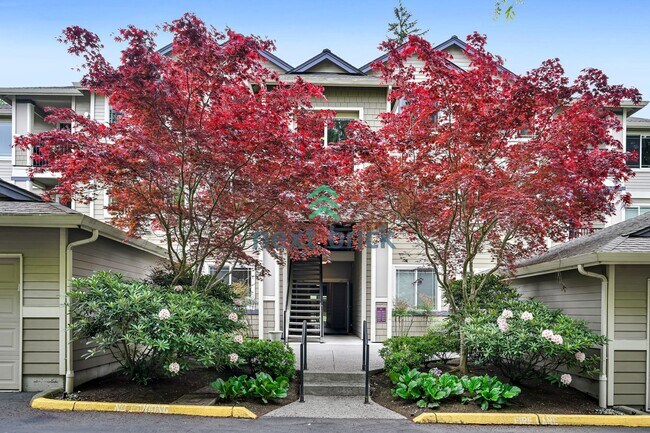 Rare Ground-Floor, End Unit with massive b... - Rare Ground-Floor, End Condo Unit with massive b... Unit 2-203