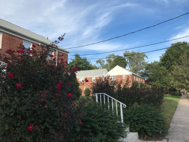 Photo - 316 Magnolia St