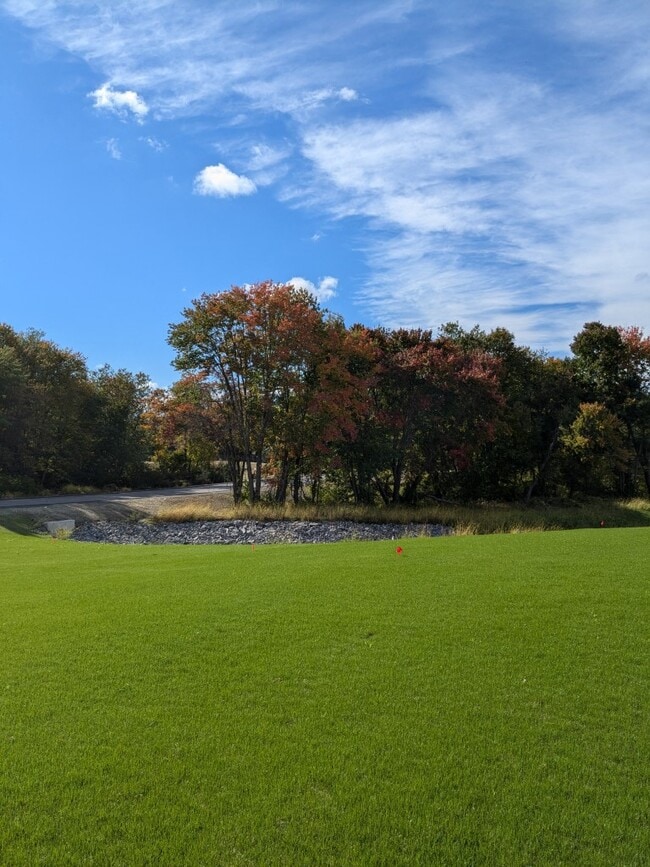 Rose Meadows