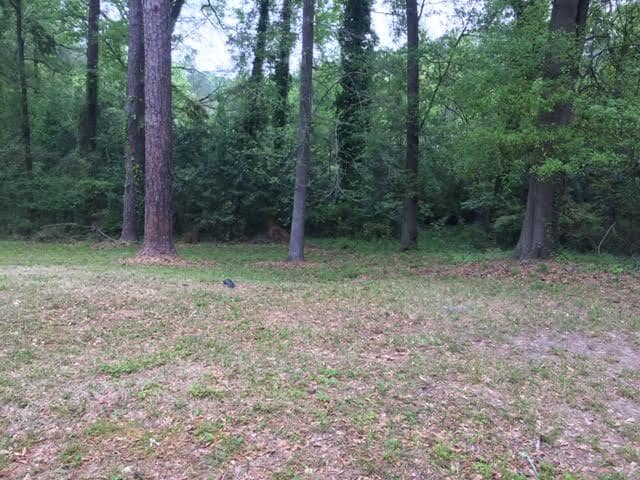 Photo - 960 N Pierce Ave