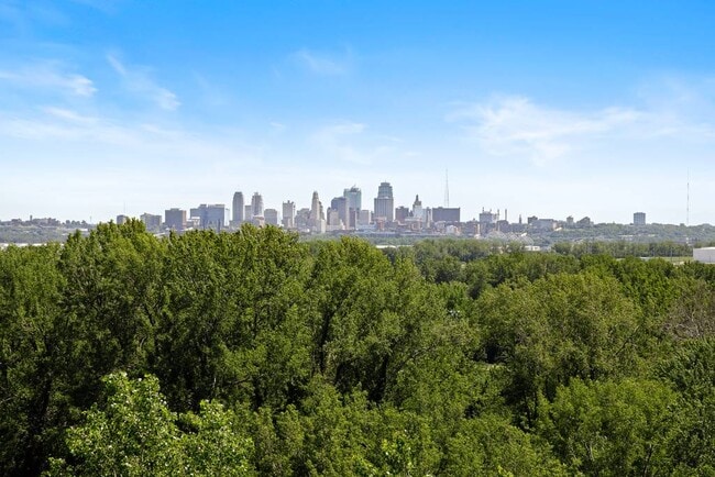 City Views