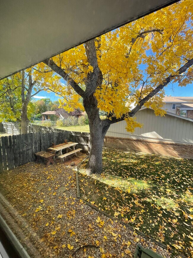 Photo - 1430 W 25th St