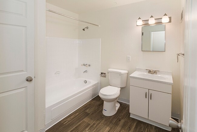 Photo - Prospect Park