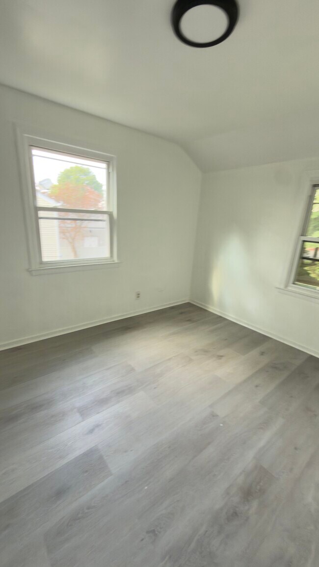 81 Cannon Rd