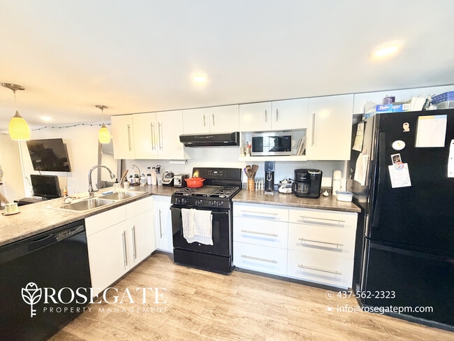 Photo - Bright 1-Bedroom Basement Apartment with All Utilities & 2 Parking Spaces in Kitchener Unit 2