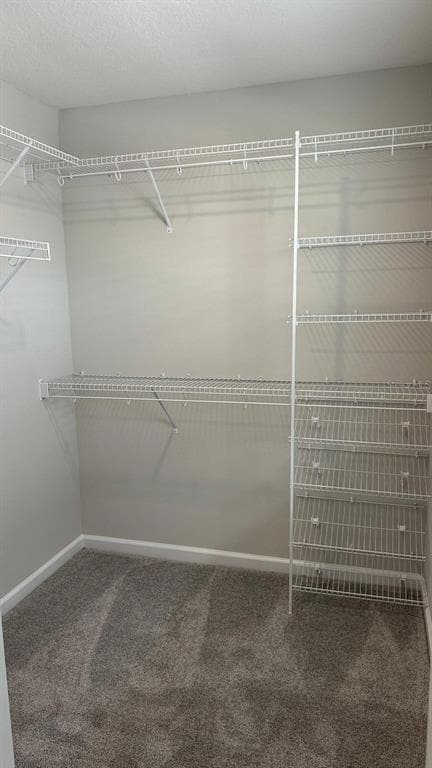 Photo - 4988 Prairie Preserve Run