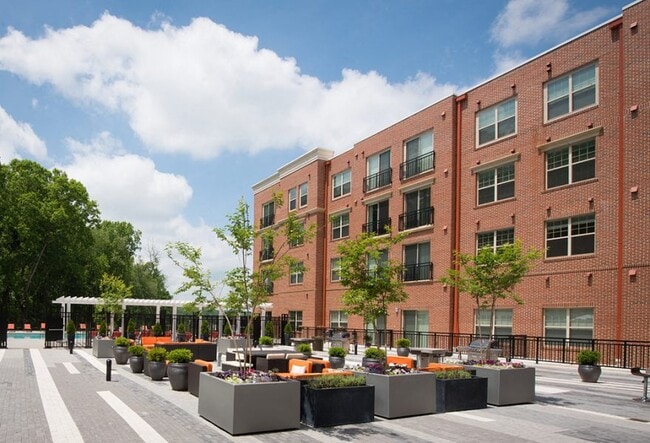 Photo - Spectrum Majestic