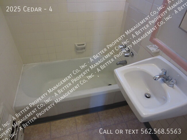 2025 Cedar-4