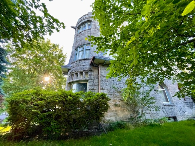 801 S Cedar St - 801 S Cedar St