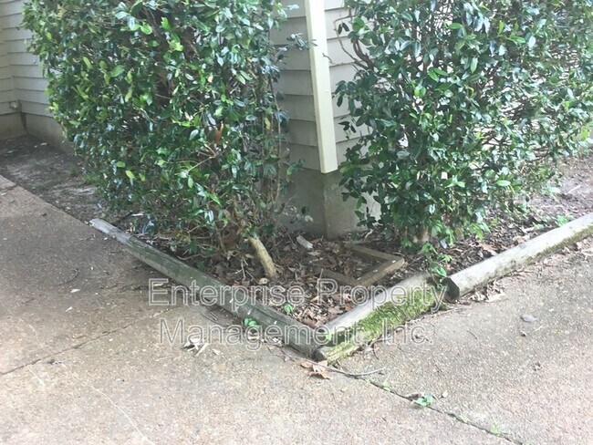 Photo - 7019 Shadow Oaks Dr